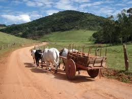 http://fernandod.com.br/images/textos/CARRO DE BOI 22.jpg