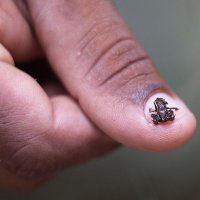 http://fernandod.com.br/images/textos/MENOR RA DO MUNDO 2.jpg