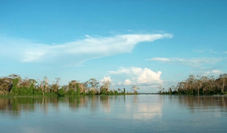 http://fernandod.com.br/images/textos/PARQUE NACIONAL DA AMAZONIA 2.jpg