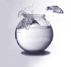 http://fernandod.com.br/images/textos/REFLEXOES BESTAS 056.jpg