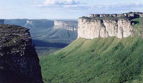 http://fernandod.com.br/images/textos/SERRA DO SINCORA 1.jpg